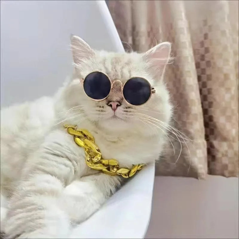 Lunettes de soleil Rétro pour Chat qui veut un look frimeur et beau gosse