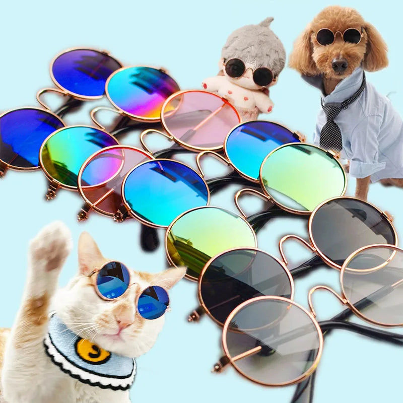 Lunettes de soleil Rétro pour Chat qui veut un look frimeur et beau gosse