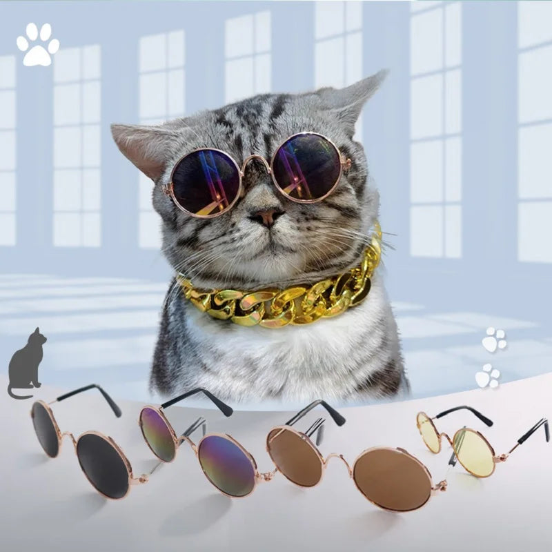 Lunettes de soleil Rétro pour Chat qui veut un look frimeur et beau gosse