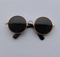 Lunettes de soleil Rétro pour Chat qui veut un look frimeur et beau gosse