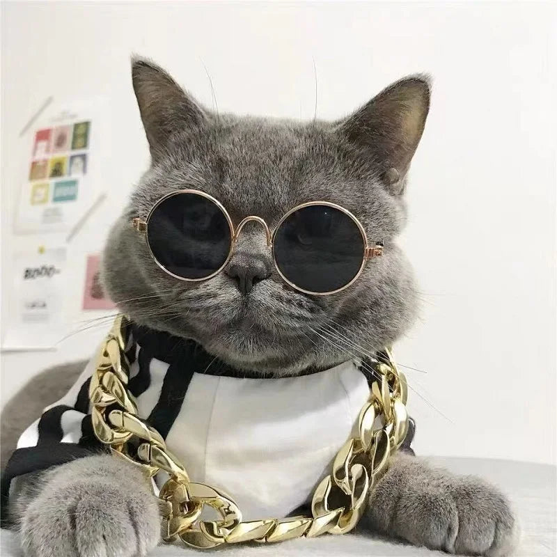 Lunettes de soleil Rétro pour Chat qui veut un look frimeur et beau gosse